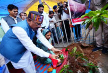 महावृक्षारोपण अभियान : मार्च 2025 तक 140 करोड़ वृक्षों का रोपण किया जाएगा