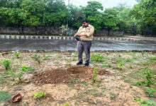 नई दिल्ली में ‘एक पेड़ माँ के नाम’ अभियान के तहत छत्तीसगढ़ जनसंपर्क विभाग का वृक्षारोपण