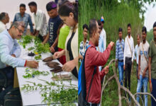 मुख्यमंत्री श्री विष्णु देव साय के मार्गदर्शन में छत्तीसगढ़ के वन क्षेत्रों में जनजातीय युवाओं के सशक्तिकरण की अभिनव पहल