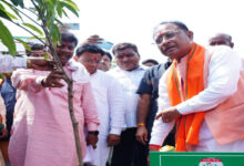 मुख्यमंत्री श्री विष्णु देव साय ने एक पेड़ मां के नाम अभियान के अंतर्गत लगाया केसर आम का पौधा
