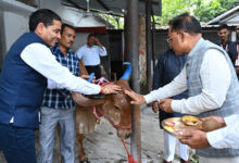 मुख्यमंत्री श्री विष्णु देव साय ने गोवर्धन पूजा के अवसर पर की गौ वंश की पूजा-अर्चना मुख्यमंत्री श्री विष्णु देव साय ने गोवर्धन पूजा के अवसर पर की गौ वंश की पूजा-अर्चना